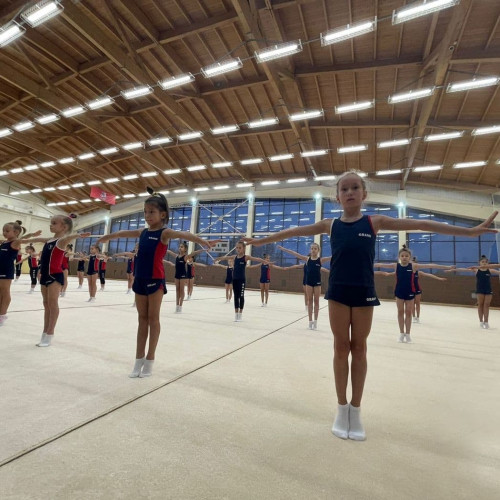 Ковер для спортивной гимнастики 12x12x20м